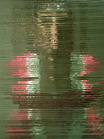 Lisa Koch